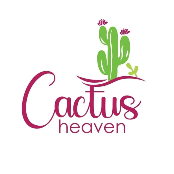 Cactus heaven
