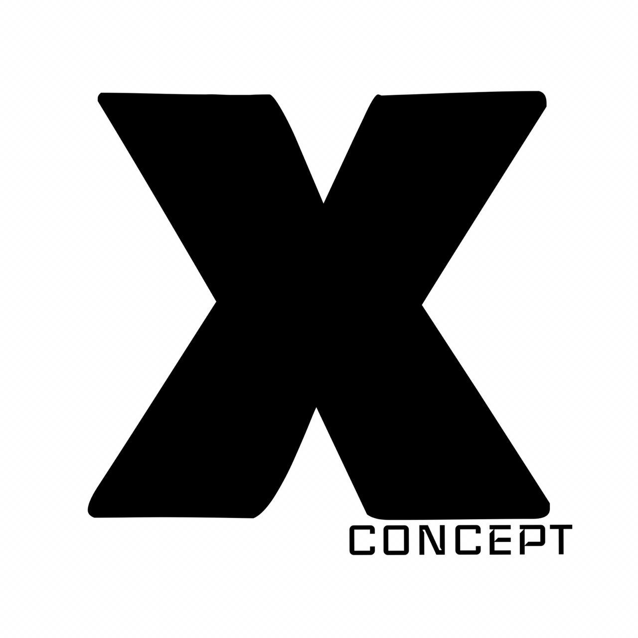 The x concept