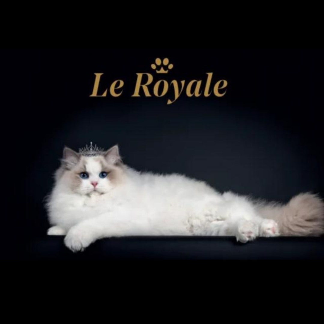 Le Royale LB
